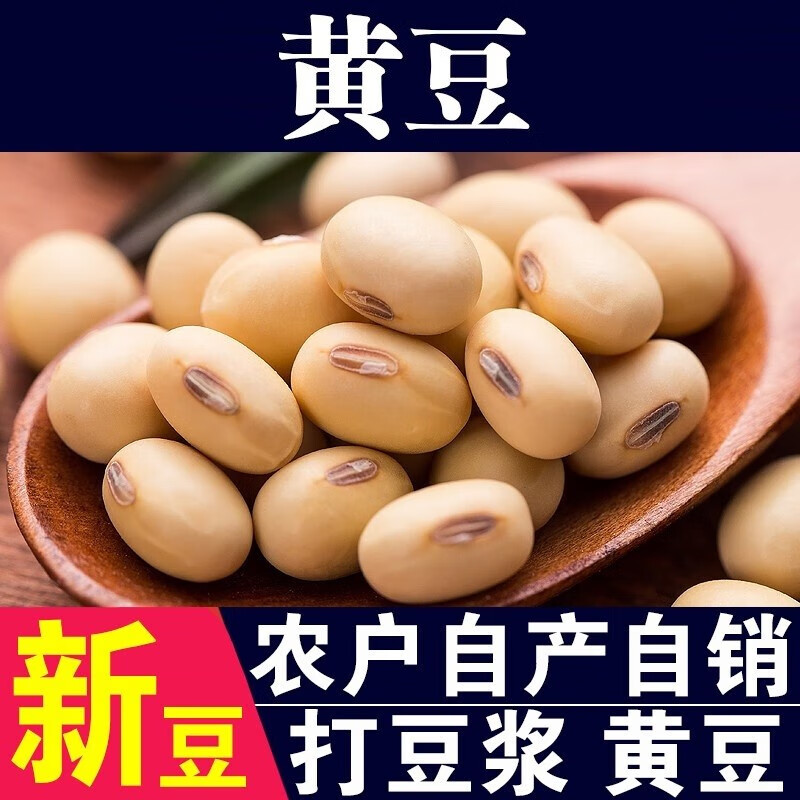 呆呆菇娘黄豆新黄豆农家自种大豆打豆浆米糊专用笨黄豆 【超值5斤】黄豆500gx5袋