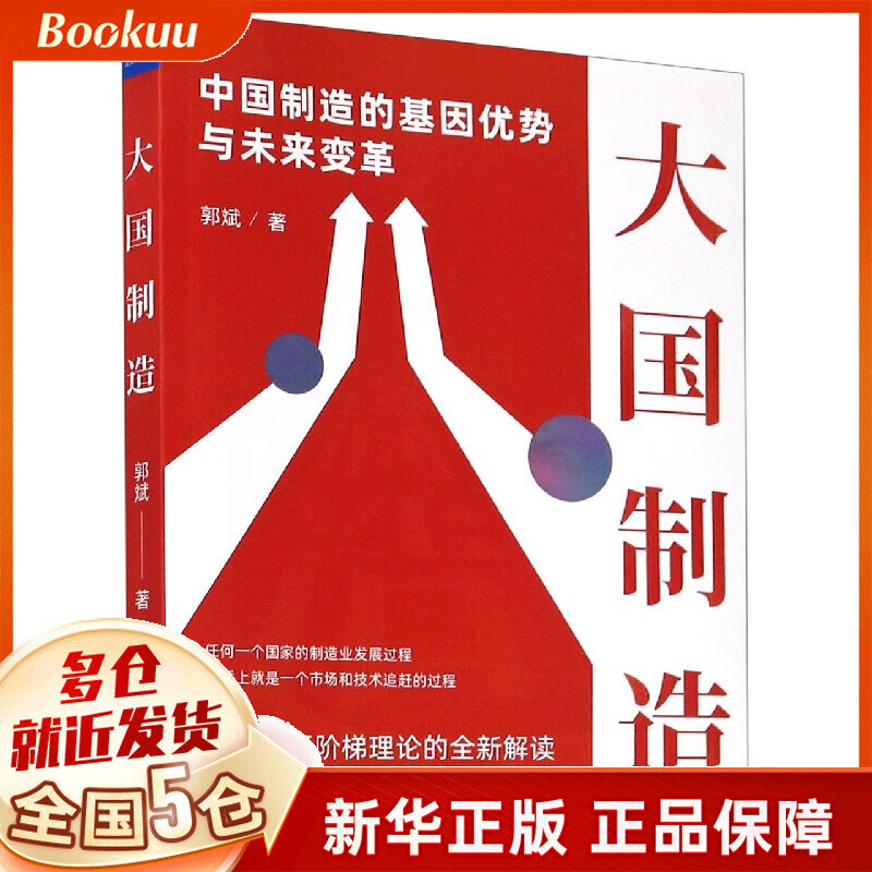 大国制造(中国制造的基因优势与未来变革)