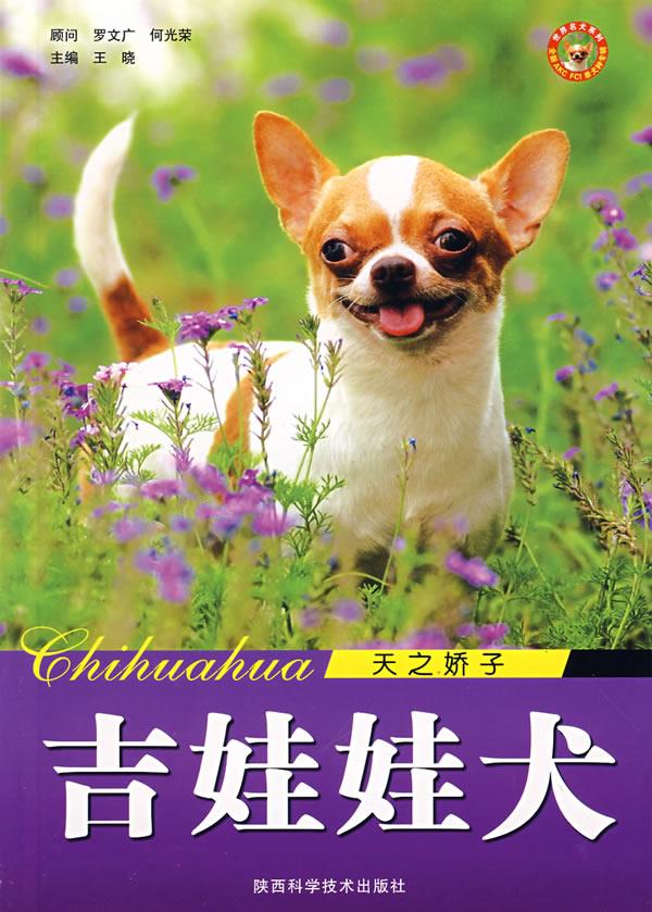 吉娃娃犬【正版】