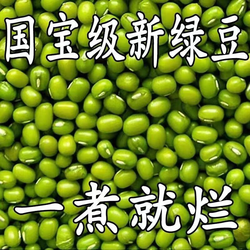 Derenruyu【5斤】绿豆批发东北农家新绿豆绿豆粥绿豆汤笨绿豆发芽10g 1斤 10g【小绿豆】