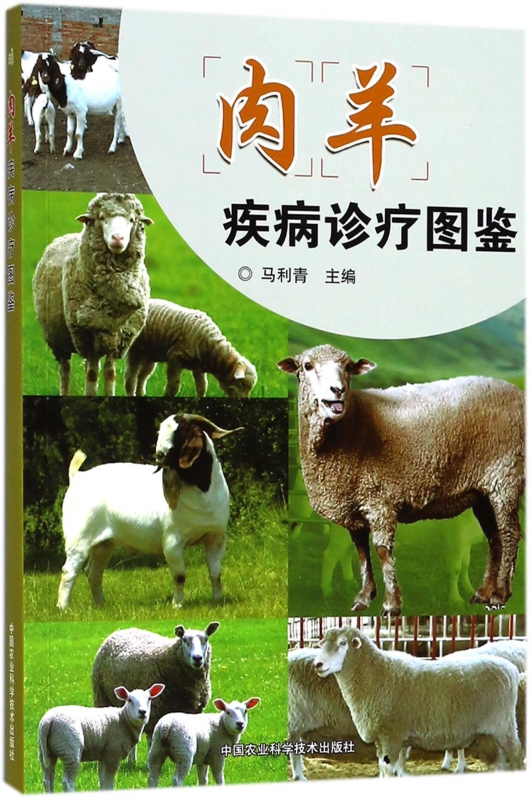 肉羊疾病诊疗图鉴
