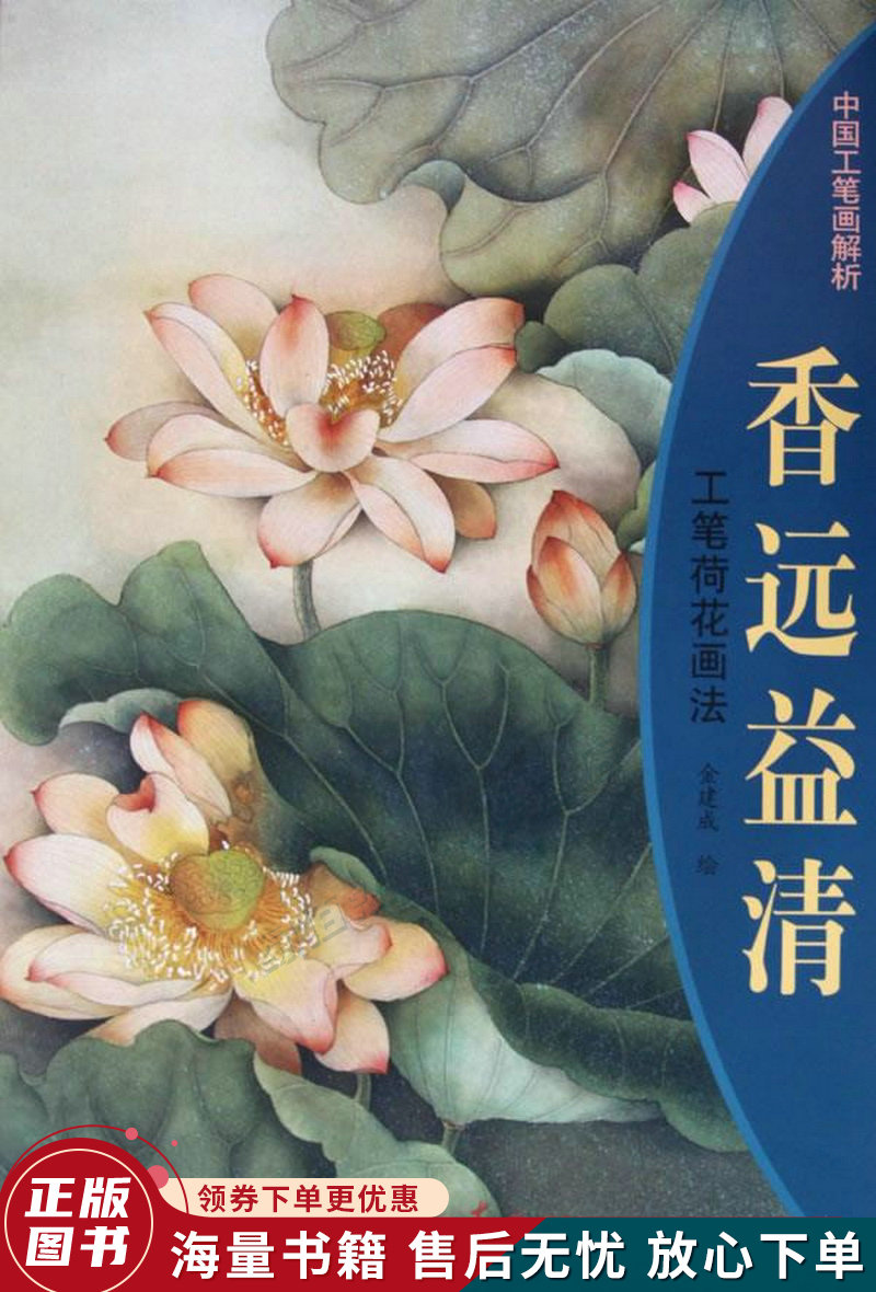 香远益清:工笔荷花画法