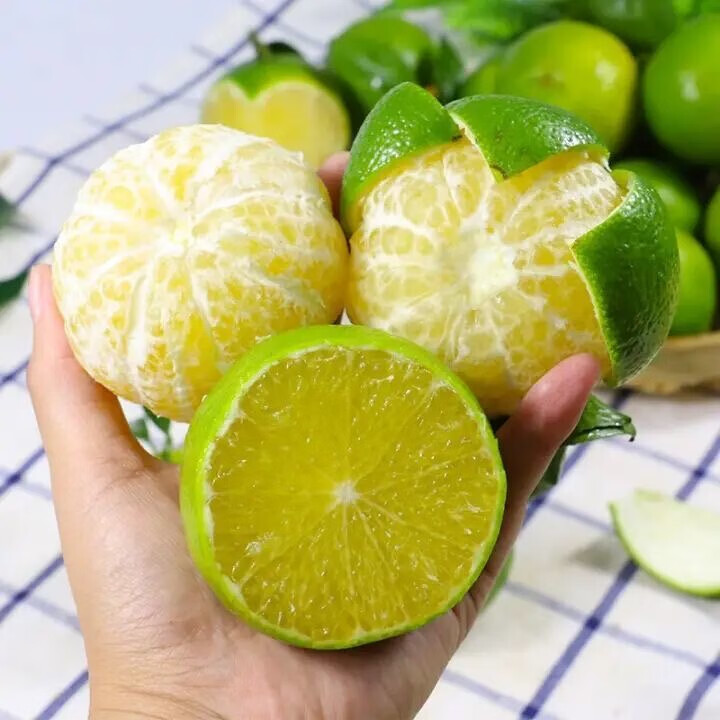 果迎鲜皇帝柑 新鲜水果广西皇帝贡柑 柑橘桔子 净果4.5斤50-55mm