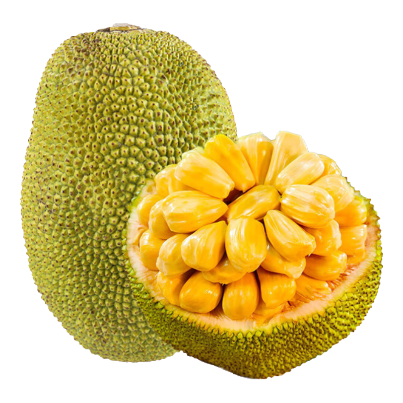 果当爱 海南菠萝蜜 整个装25-30斤特大果脆甜黄肉老树 新鲜水果源头直发