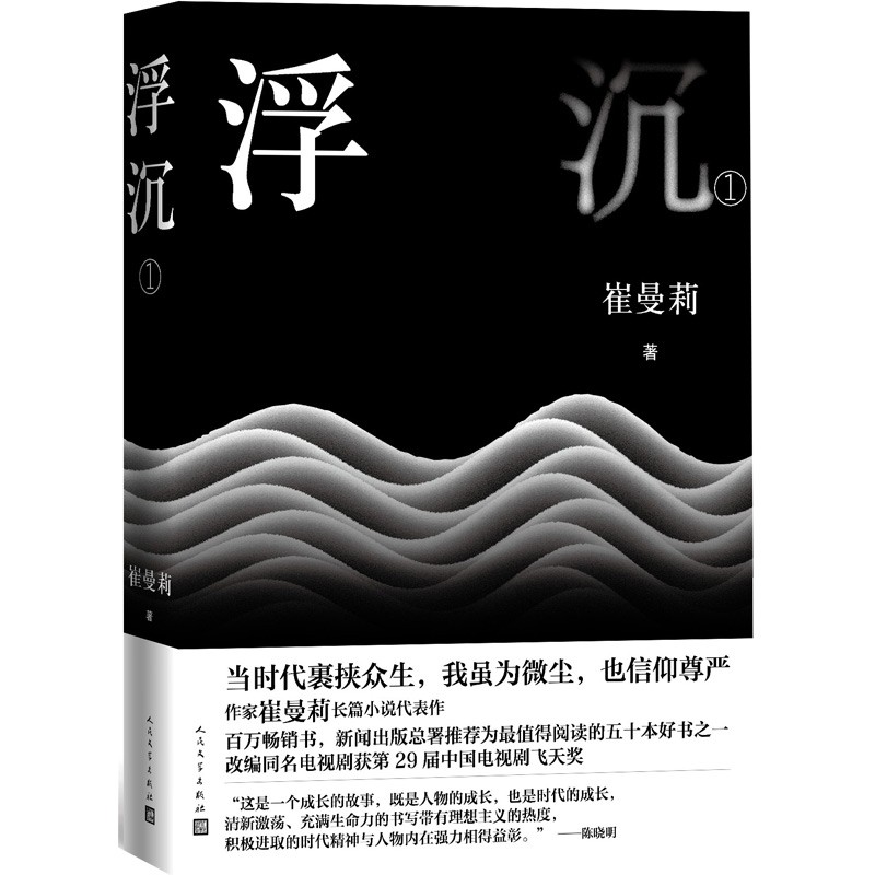 浮沉（第一部）崔曼莉 改编同名电视剧获第29届中国电视剧飞天奖