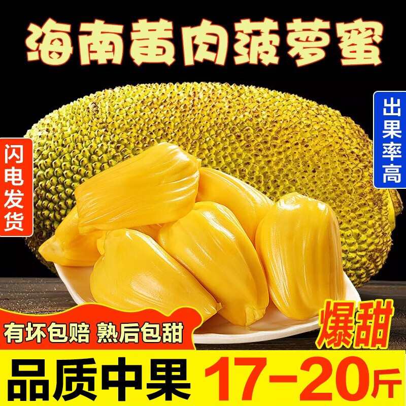 禧友鲜海南黄肉菠萝蜜整个新鲜水果果肉干包热带现摘大树菠萝一整个 17-20斤|品质家庭中果怎么看?