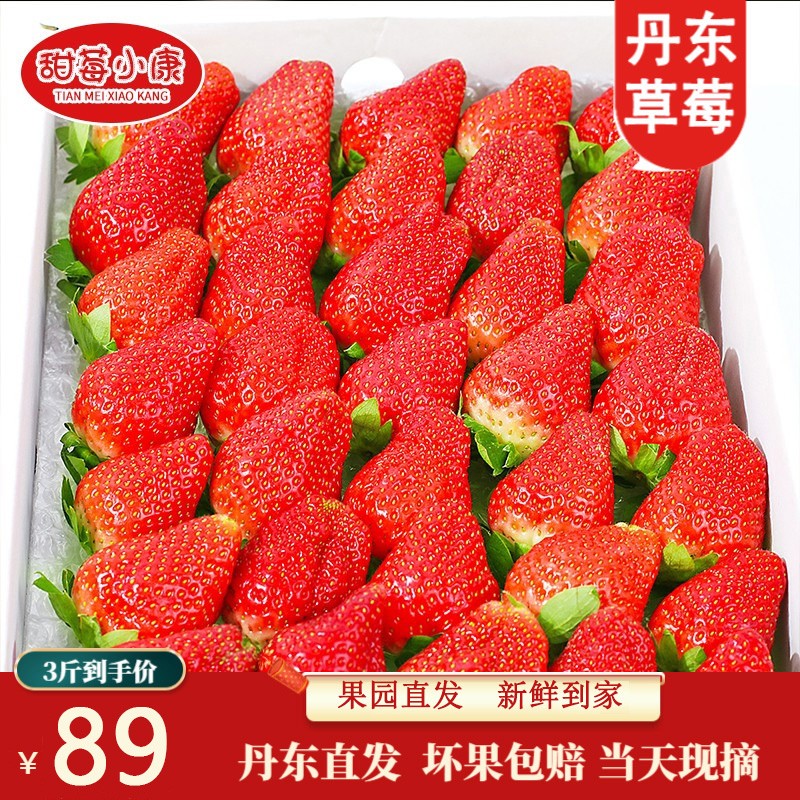 甜莓小康丹东99草莓情人节礼物东港红颜奶油草莓新鲜水果红颜牛奶油礼盒 推荐-3斤热抢款（单果25g-30g）