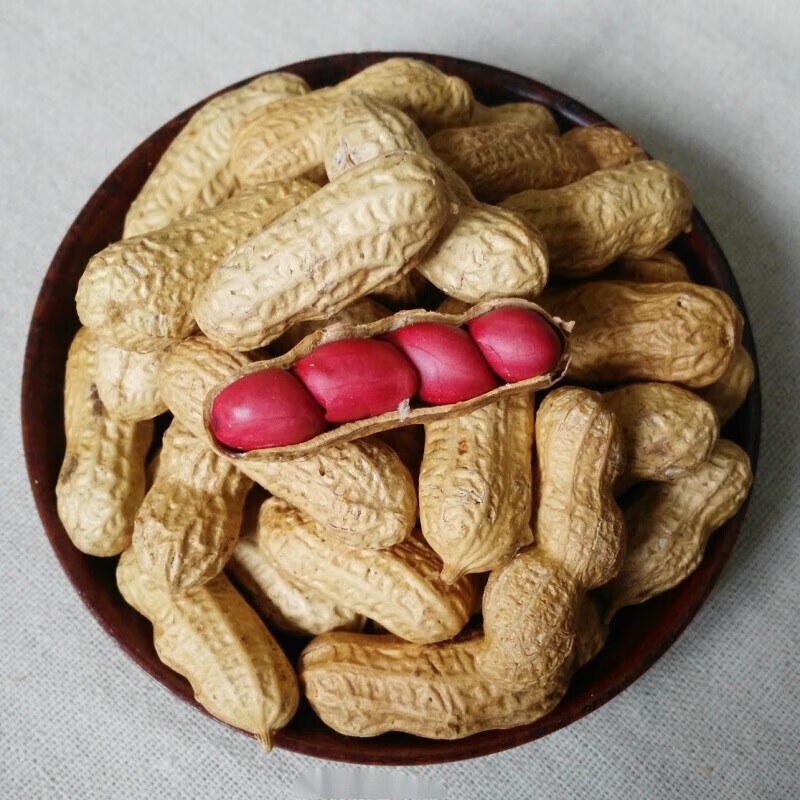 京诗悦新货东北花生500g带壳原味生熟花生现炒红皮花生 (炒熟)原味