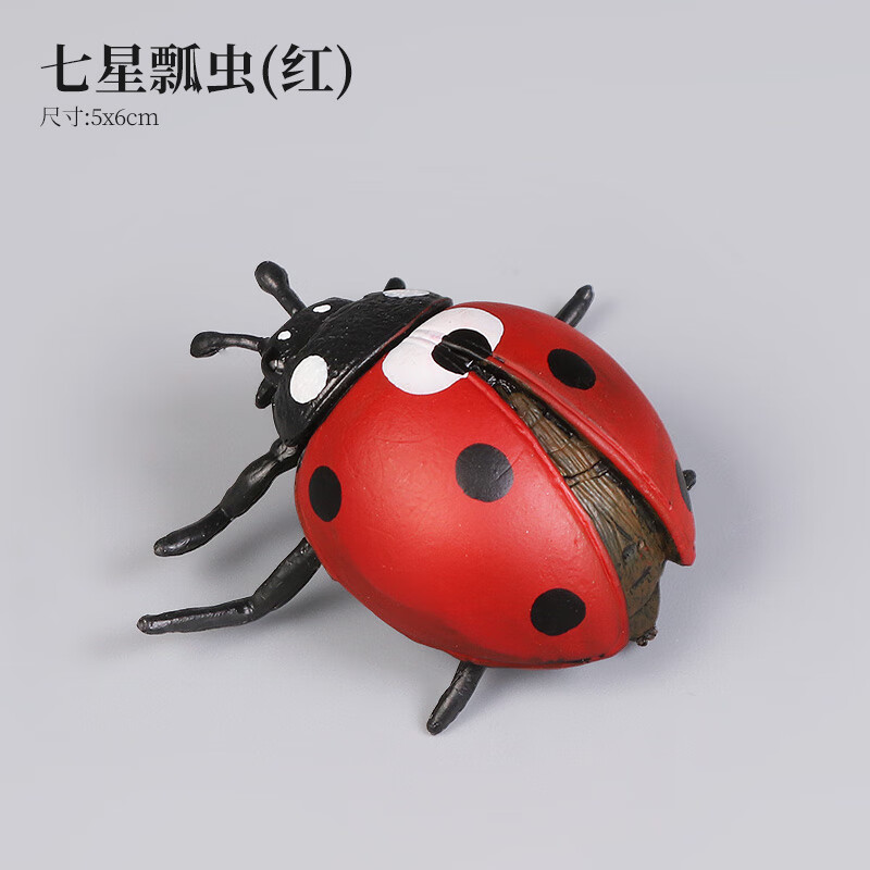 曼影(manying)仿真七星瓢虫模型实心昆虫动物玩具儿童宝宝认知男女孩