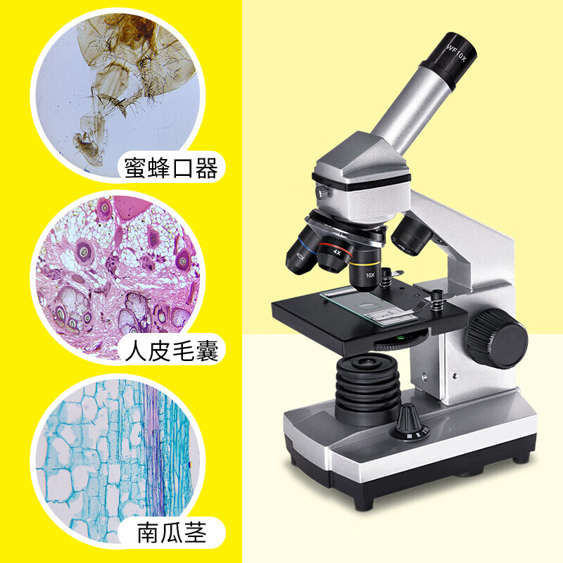 宝视德 bresser 88-55008 显微镜 专业 学生 生物电子科学实验精子养殖1600倍 标配