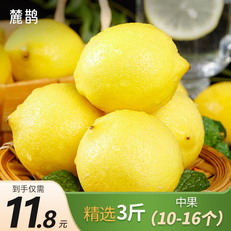 麓鹊四川黄柠檬中大果新鲜水果应季生鲜 3斤 中果【10-16个装】90%选择