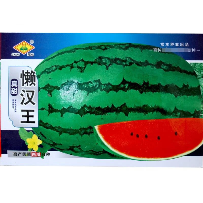 懒汉王花皮西瓜籽种冰糖麒麟硒砂甜脆大西瓜籽红壤 懒汉王西瓜种原厂