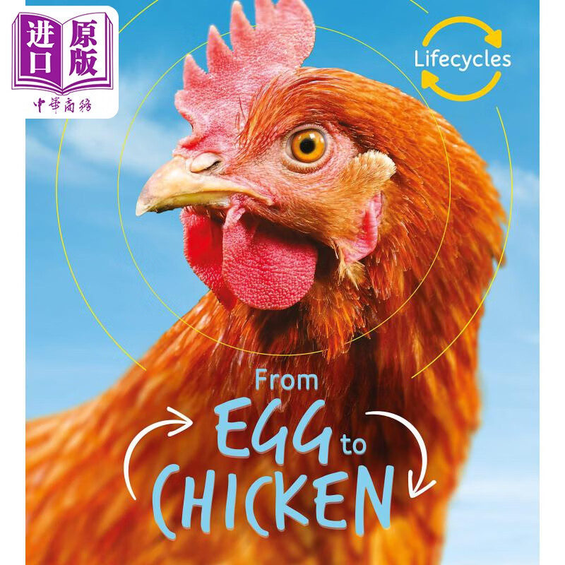 lifecycles egg to chicken 生命周期:从蛋到鸡 英文原版 儿童绘本