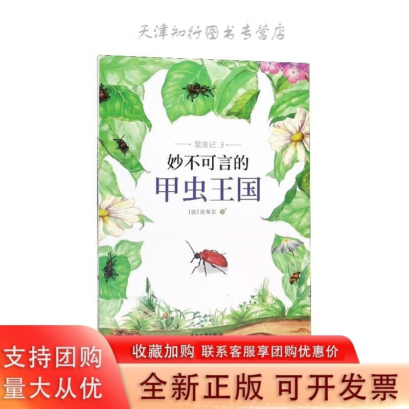 妙不可言的甲虫国昆虫记