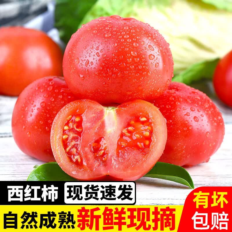 言片光云南西红柿新鲜番茄 柿子沙瓤生吃自然熟时令新鲜蔬菜火锅食材
