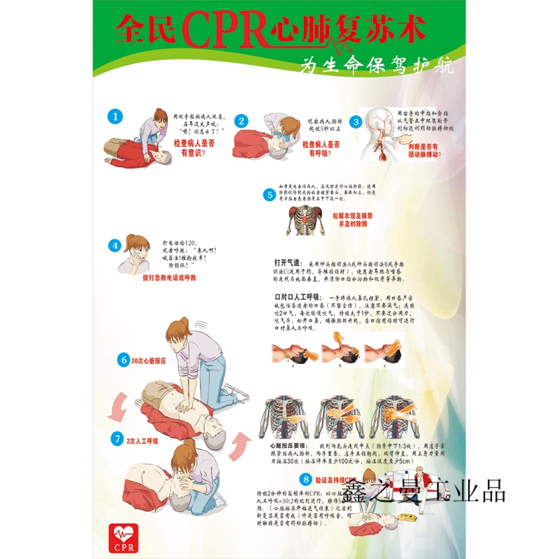 医院文化制度急救抢救流程心肺复苏拯救法写真图海报防水挂图 全民cpr