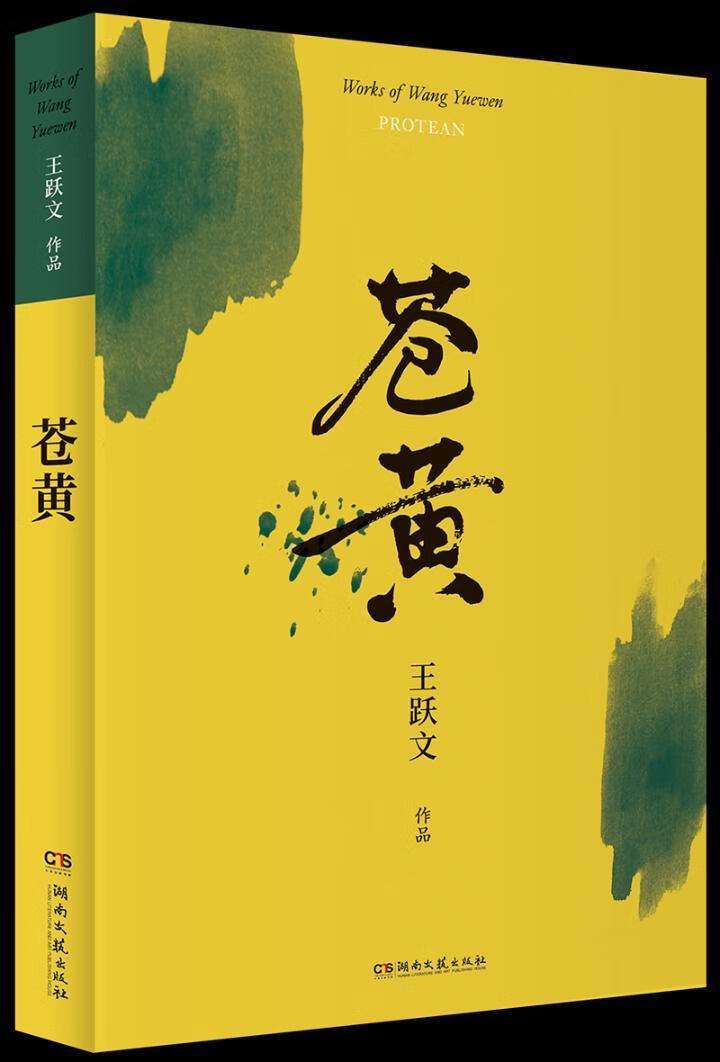 苍黄王跃文湖南文艺出版社