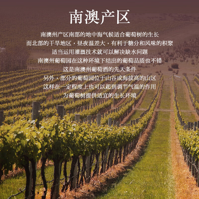 纳丹堡【认准原瓶/买1赠1箱】澳洲原瓶进口红酒整箱干红葡萄酒送礼盒装 【酒庄直供·醇厚柔和】2箱12瓶
