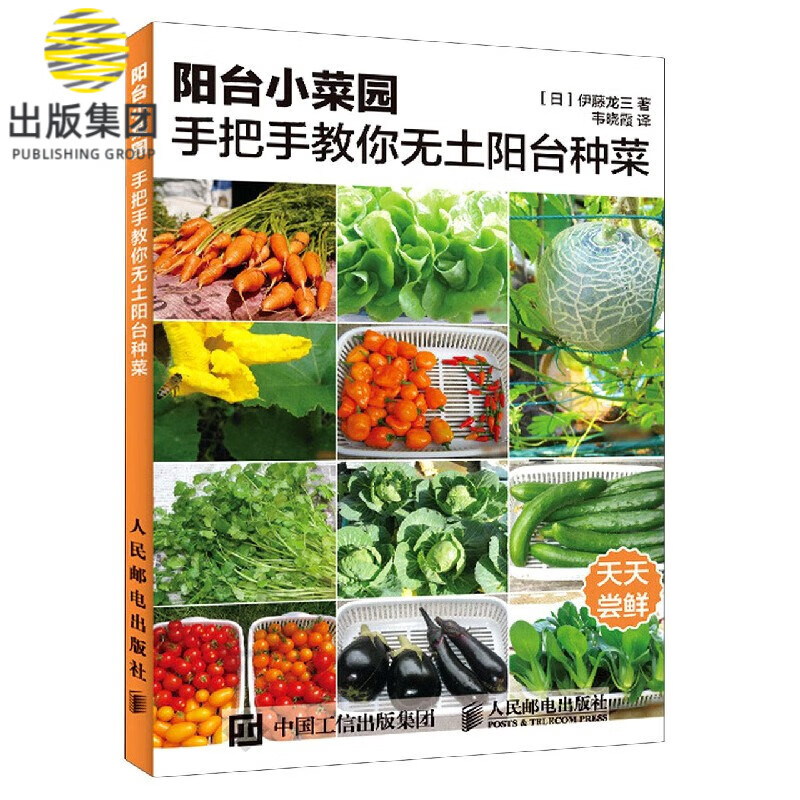 阳台小菜园(手把手教你无土阳台种菜)