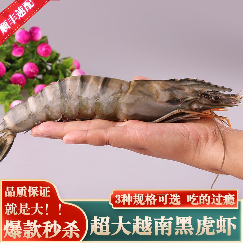 虾类历史价格查询|虾类价格比较