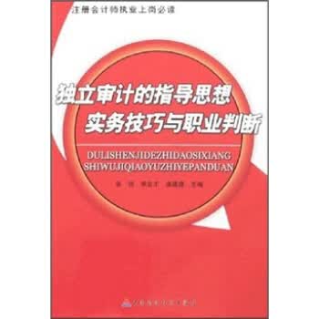 注册会计师执业上岗必读：独立审计的指导思想实务技巧与职业判断 张锐等 著【正版书】