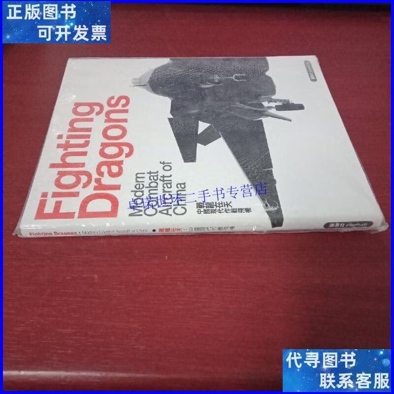 【二手9成新】fighting dragons /画素社 画素社