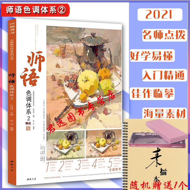 师语色调体系2 主题教学2021张灵色彩静物基础黑白稿单体组合色调色稿