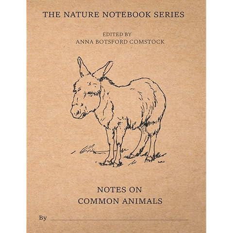 预订 notes on insects