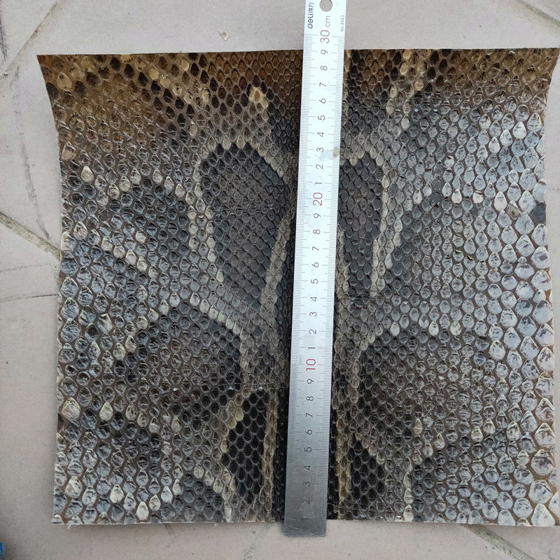 三弦蒙皮 金花蟒皮 单块二胡高胡三弦皮 扎念琴六弦琴蟒皮 鼓皮 20*20