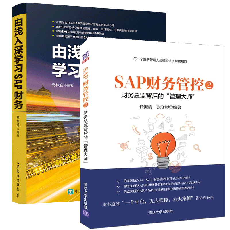 【套装2本】SAP财务管控2 财务总监背后的“管理大师 由浅入深学习SAP财务 财务管理从入门到精通