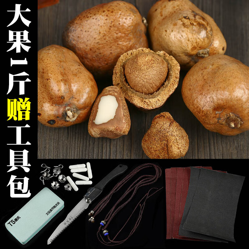 帛灵佛心果菩提 释迦菩提子原籽金灯空心菩提根打磨项链吊坠成 大果1