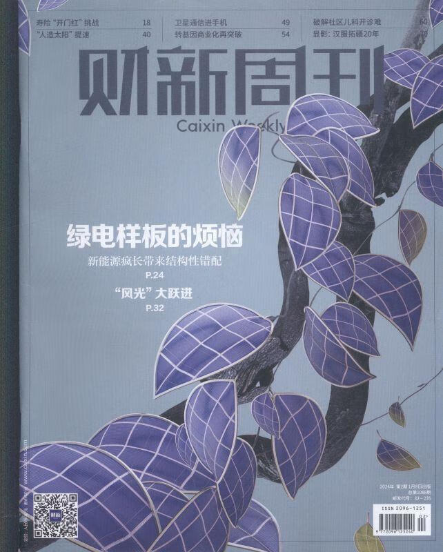 财新周刊(原:新世纪(原邮发:80-699)(原邮发:84-6))(24年-第2期) 文学