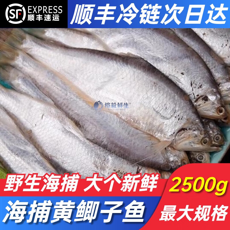 鱼新鲜黄尖子黄积子油扣烤子鱼马口黄既子毛扣海鲜冷冻水产 黄鲫鱼5斤