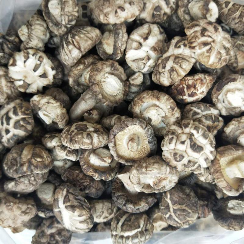 菌妙新品 剪脚小花菇农家土特产干货迷你小香菇500g