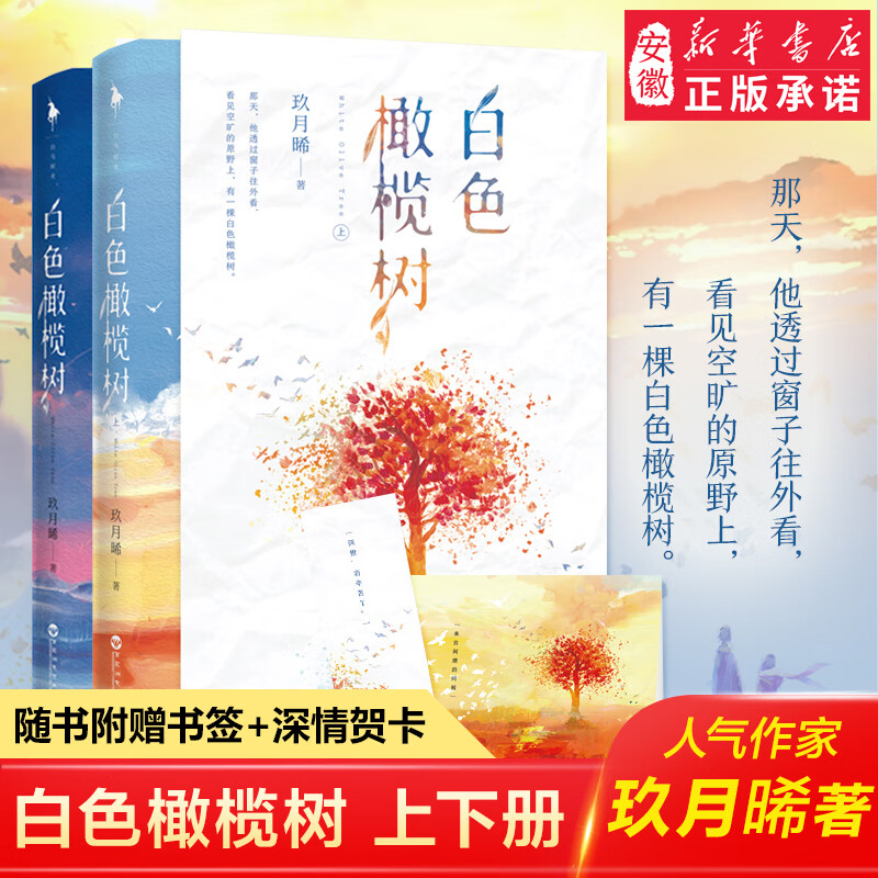 白色橄榄树 玖月晞的书青春文学小说 少年的你如此美丽 追风系列他