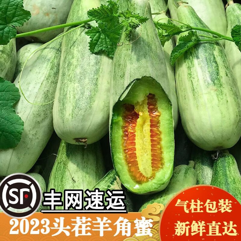 御果乡羊角蜜瓜甜瓜5斤装 新鲜水果生鲜网纹瓜甜瓜 彩箱羊角蜜带箱5斤（SF丰网）