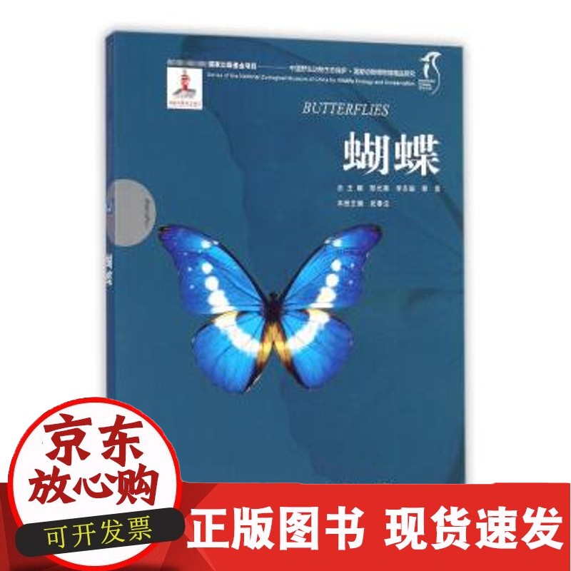 C 动物博物馆精品研究--蝴蝶