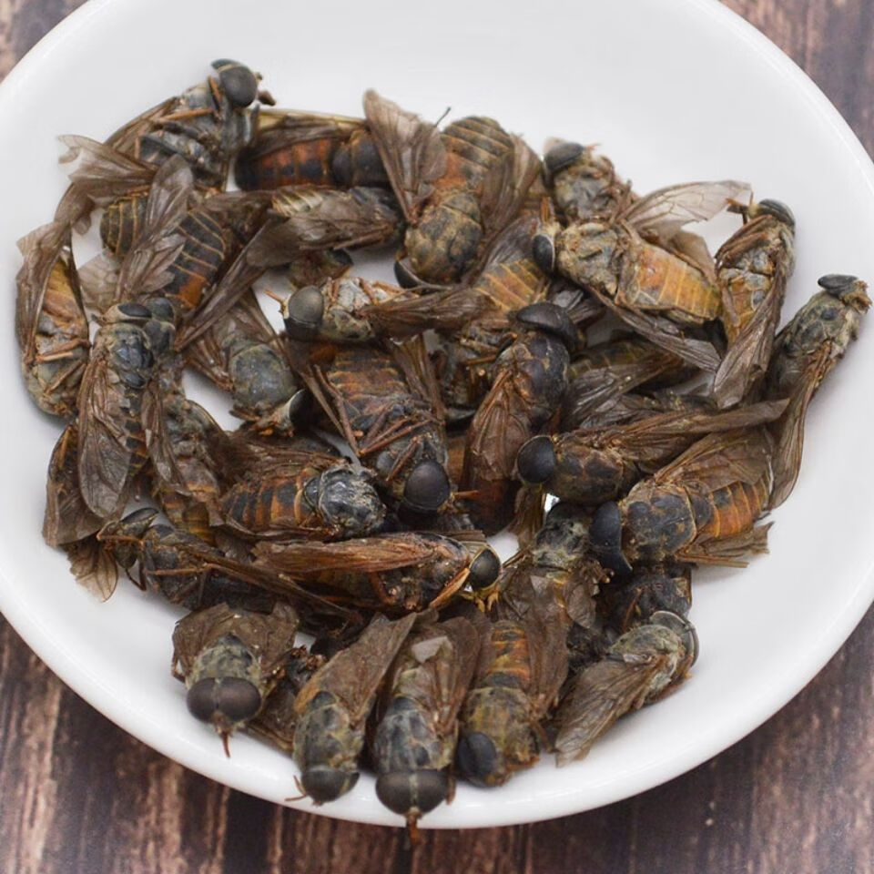 北京同仁堂牛虻虫中药材 牛苍蝇 牛虻 牛牤虫 芒虫牛氓虫 50克盲 50克