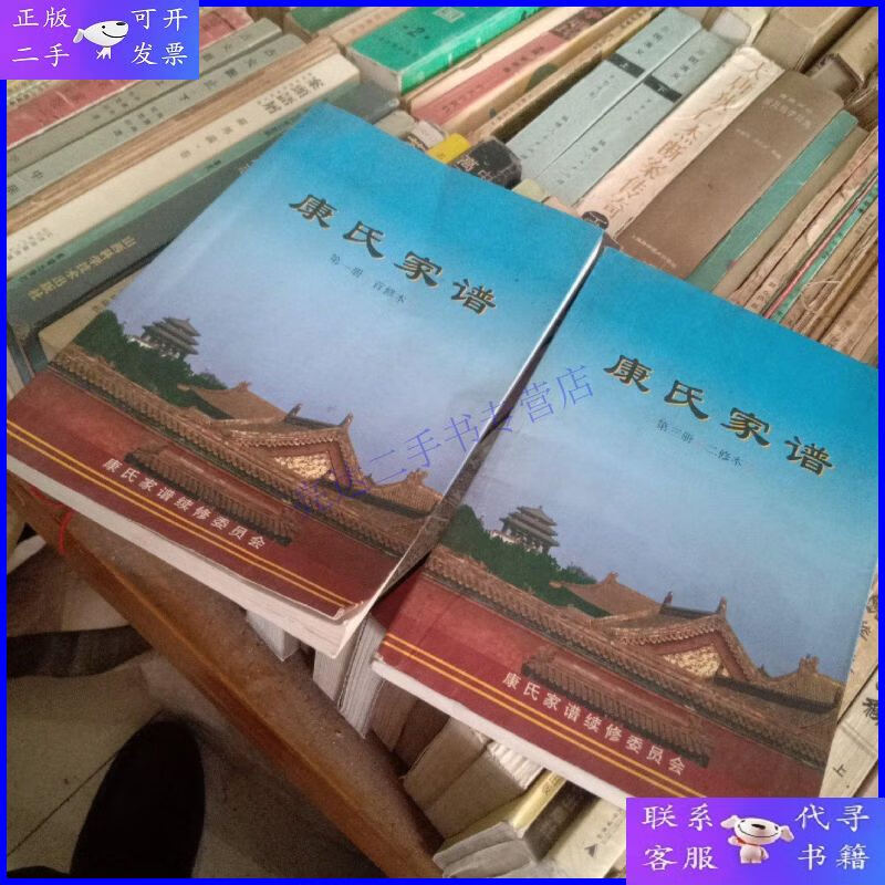 【二手9成新】康氏家谱(册)首修本 第三册(二修本)