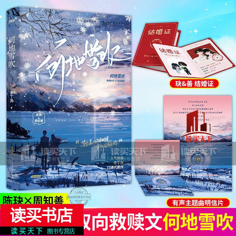 何地雪吹 李丁尧著跨越时空双向救赎青春文学校园都市言情小说书书籍