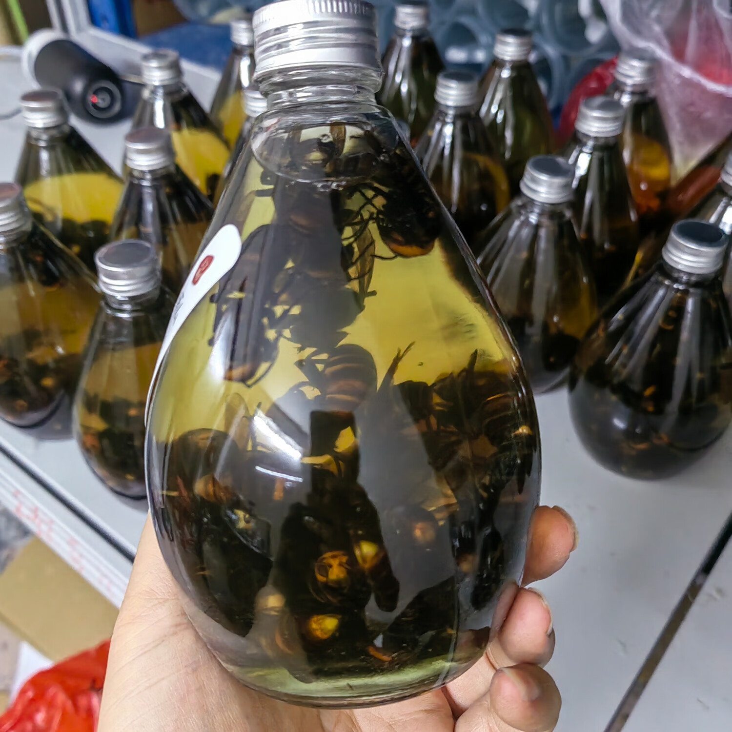 马蜂泡酒,金环虎头蜂,黄蜂泡酒,胡峰酒,诱蜂水原材料, 1年金环老蜂酒