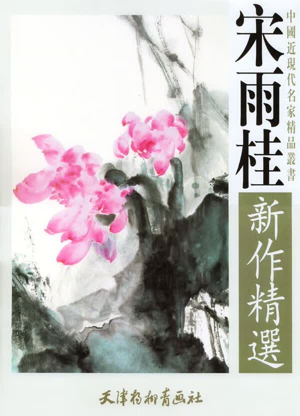 宋雨桂新作精选【正版图书】