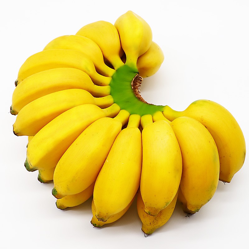 沣御园广西小米蕉 自然熟糯米蕉香蕉 超甜糯香当季新鲜水果批发小香蕉 5斤