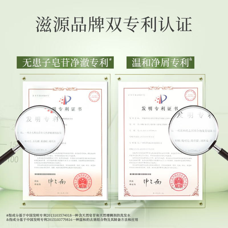 滋源控油去屑洗发水无患子清爽蓬松生姜防脱洗头膏男女士无硅油洗发露 控油蓬松洗发水300g送400g