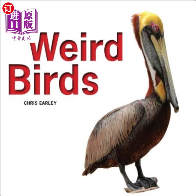 海外直订weird birds 奇怪的鸟