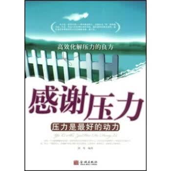 感谢压力 剑琴 著【正版】