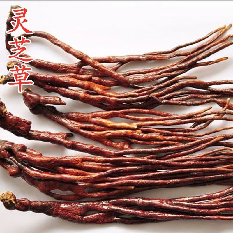 正宗灵芝草中草药材长白山特产整枝灵芝仙草灵芝林芝泡酒 灵芝草 灵芝