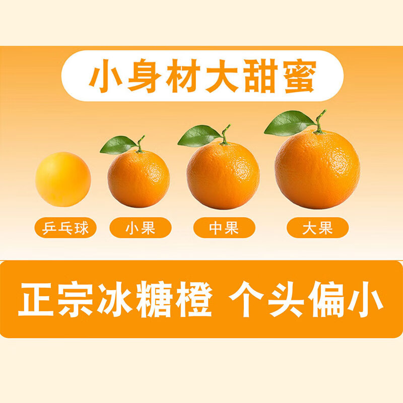 琪江果湖南麻阳冰糖橙 手剥高山甜脐橙子当季新鲜水果整箱 麻阳冰糖橙净重4.5斤55-60mm小果