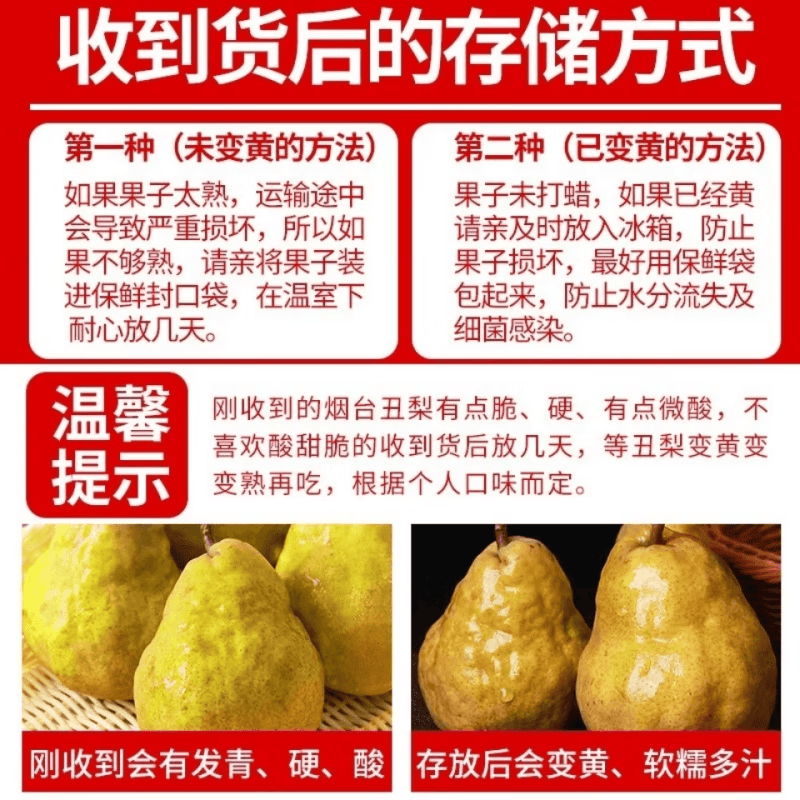 译优农山东中华丑梨烟台梨子新鲜水果太婆梨大头梨雪花啤梨现摘整箱 丑梨7斤特级果【8-10枚】礼盒装
