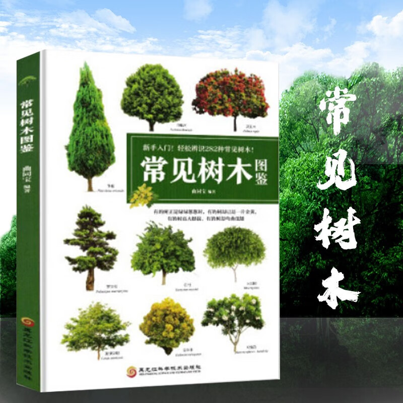 常见树木指南书籍 园林植物苗木大全 常见树木品种介绍乔木/灌木/柳杉
